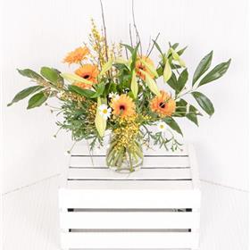 fwthumbLongiflorum Gerbera.jpg